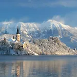 Hotel Ribno Alpine 4*