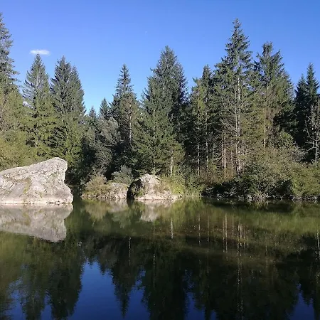 Ribno Alpine Szálloda 4*