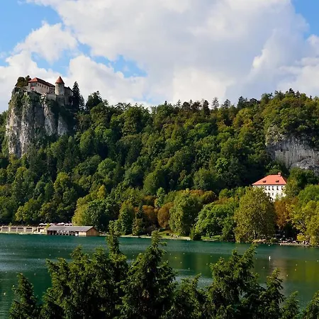 Отель Ribno Alpine Блед