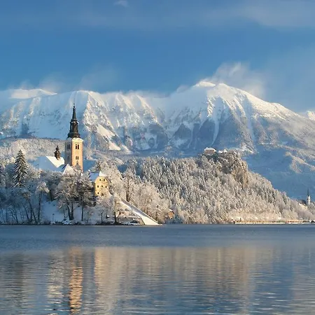 Hotel Ribno Alpine 4*