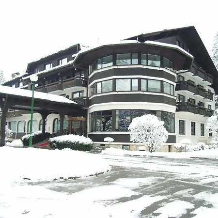Ribno Alpine 4*
