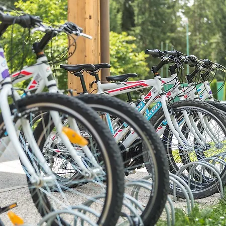 Hotel Ribno Alpine 4*