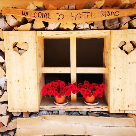 Ribno Alpine Hotel