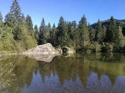 Ribno Alpine