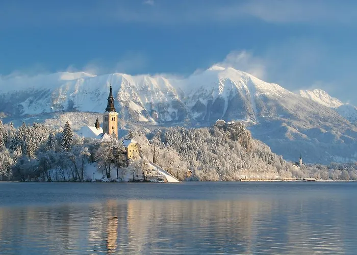 Hotel Ribno Alpine 4*