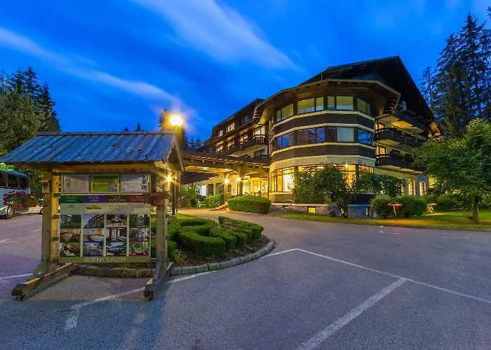 Ribno Alpine Hotel 4*