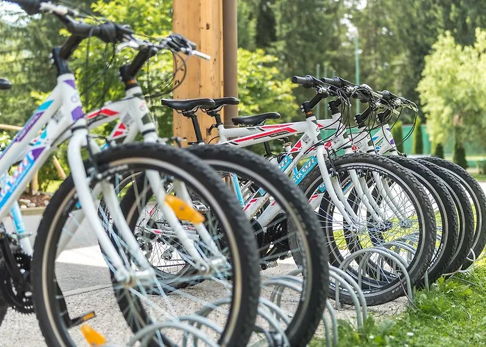 Hotel Ribno Alpine 4*