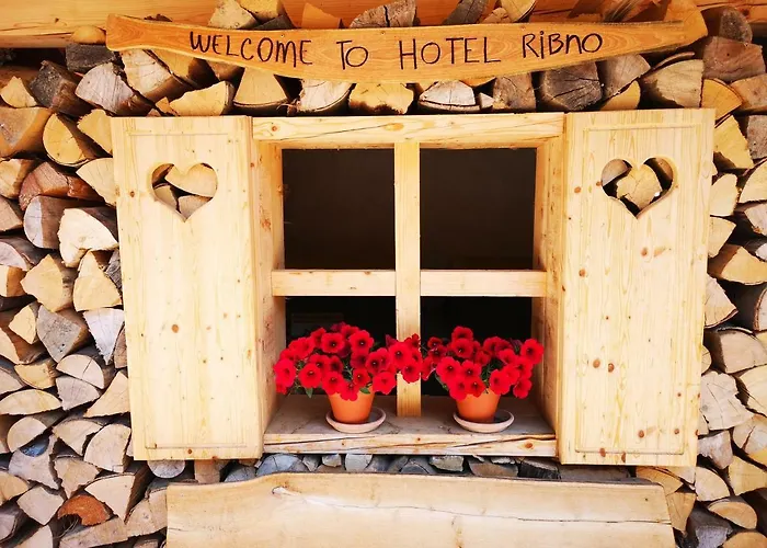 Ribno Alpine Hotel